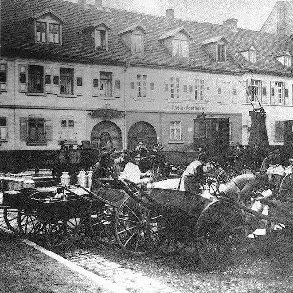 Milchtransport auf der Rheinstraße während des 1. Weltkriegs